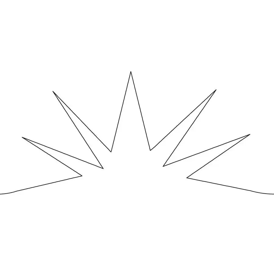 Star Dust E2E - Linda's Electric Quilters