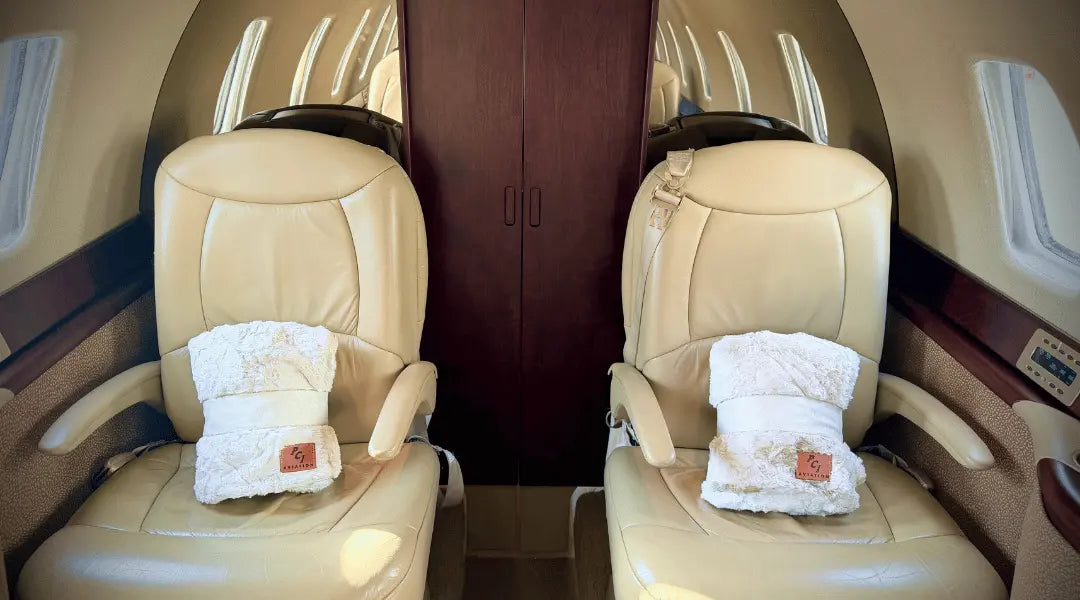 From the Studio to the Sky: Custom Cuddle Quilts for a Private Jet Linda's Electric Quilters