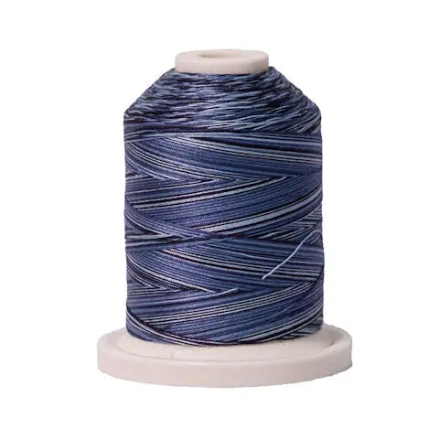 005 Denim Signature Cotton Variegated Thread Mini Spool - 40WT American & Efird Signature