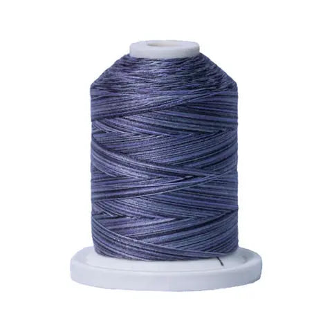 014 Shadows Signature Cotton Variegated Thread Mini Spool - 40WT American & Efird Signature