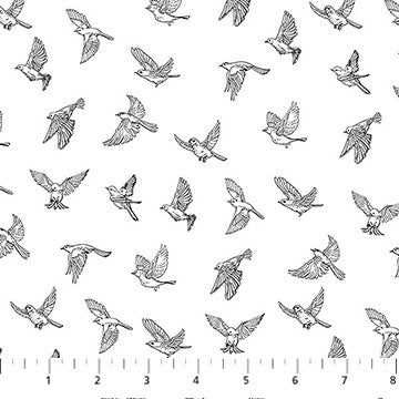 White/Black 28533-10 Nature's Sketchbook Cotton 44"/45" Fabric Per Yard