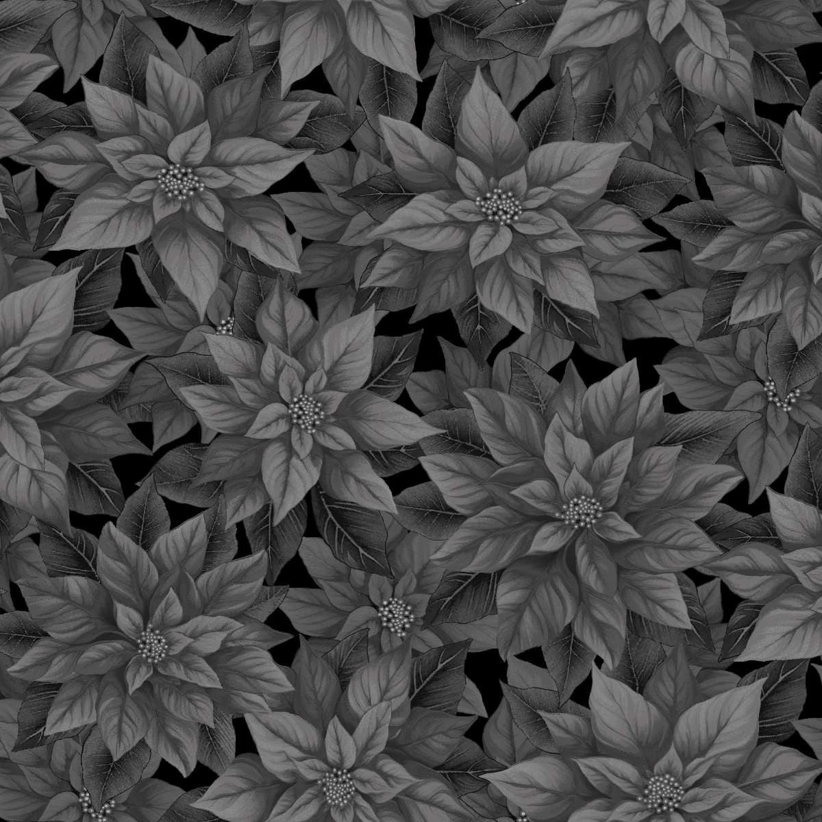 Poinsettia Splendor 108" Black Cotton Wideback Fabric Per Yard