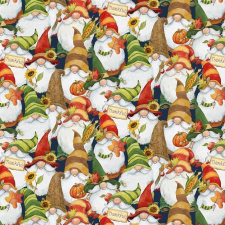 Wilmington Gnome-Kin Patch packed gnomes multi