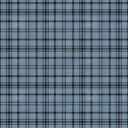 Wilmington Timberland Trails Plaid Texture quilting fabric in Blue