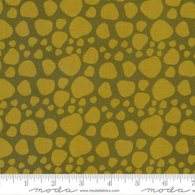 Creativity Roars Pickle Dino Spots 44"/45" Fabric Per Yard