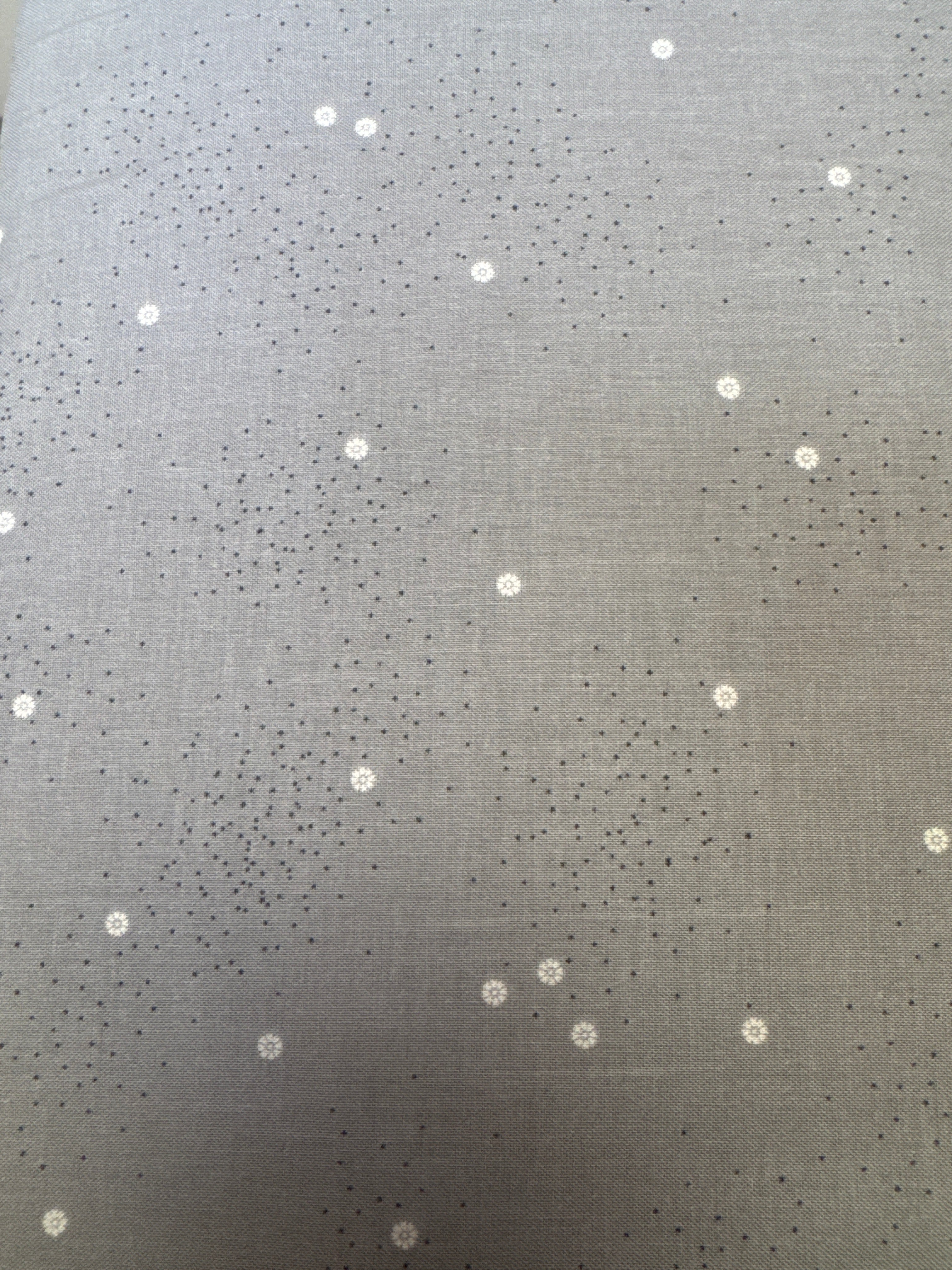 RB Dainty Daisy Gray