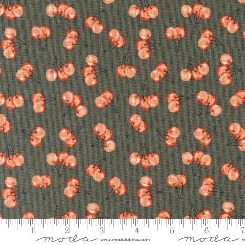 Moda Farmstead quilting cotton fabric in Charcoal 20906