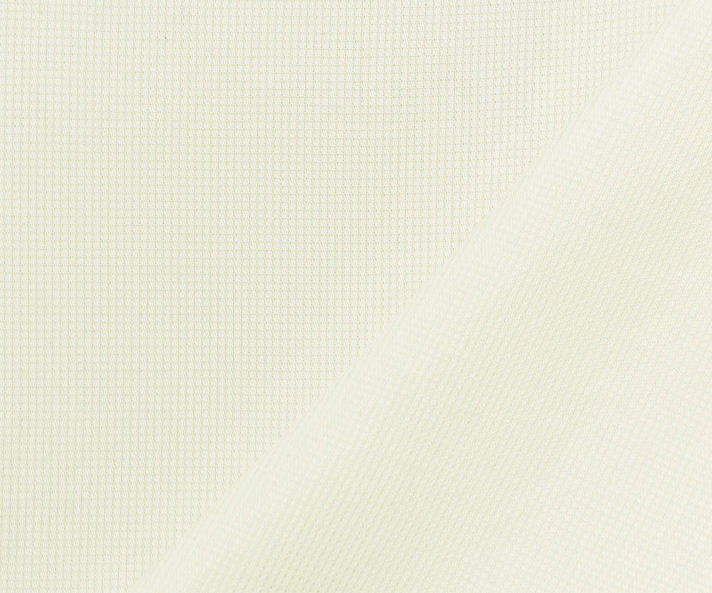 Ivory Cotton Micro Grid Dobby Woven Fabric