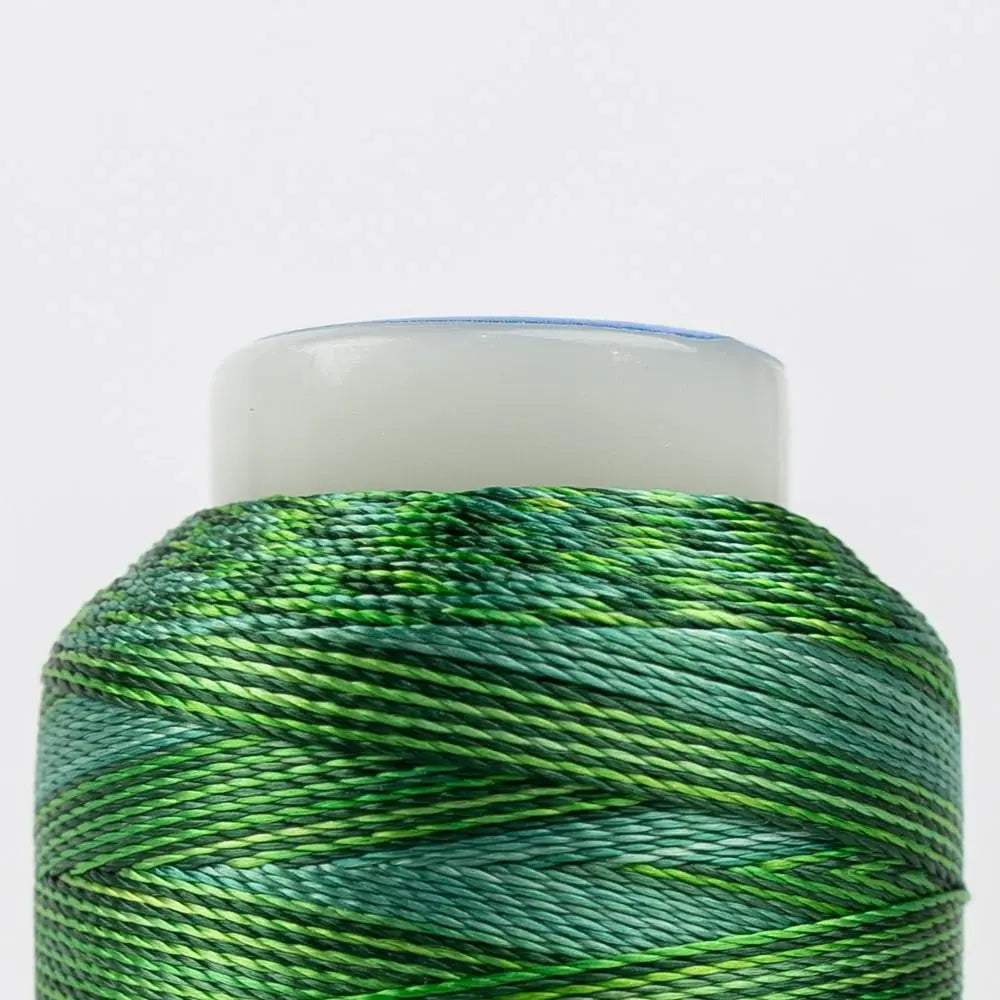 ACM03 - Accent™ 12wt Rayon Multi Greens Thread WonderFil USA