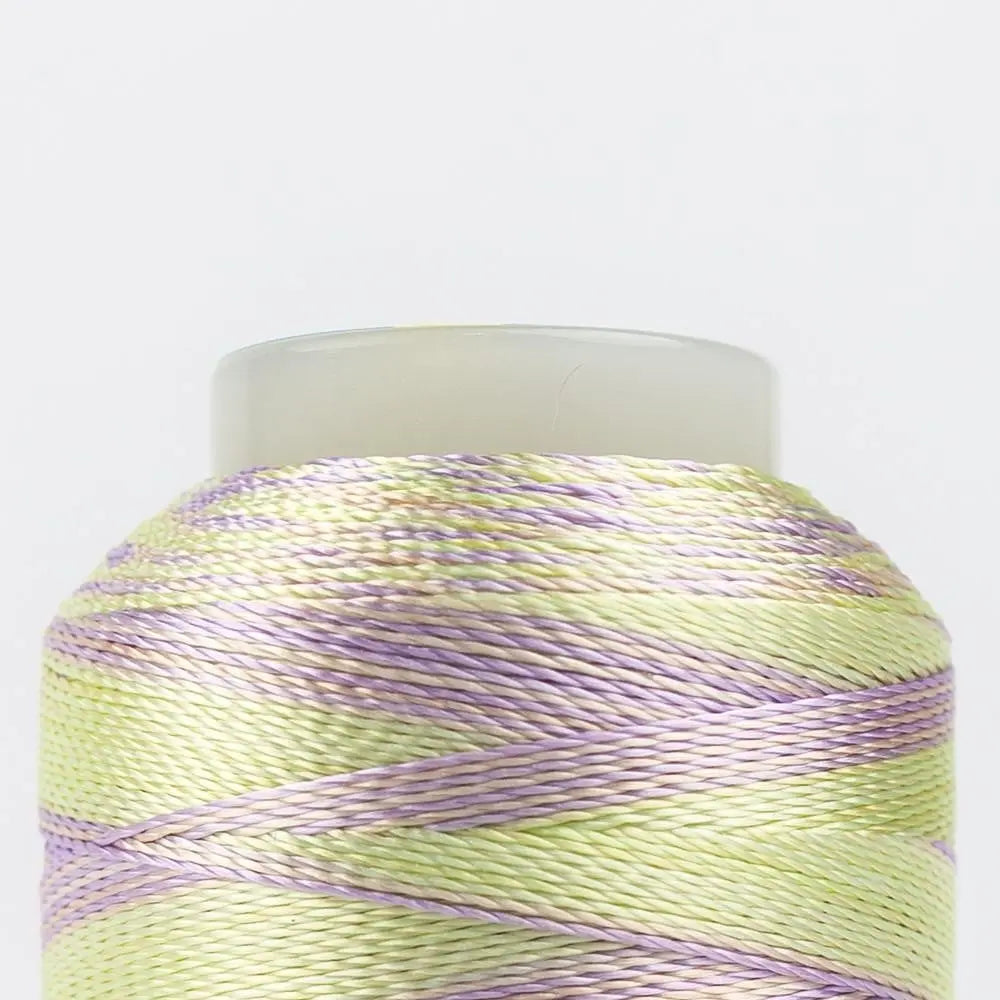 ACM20 - Accent™ 12wt Rayon Baby Thread WonderFil USA