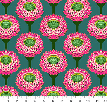 Anna Maria Strawflower quilting fabric in Bursting for Northcott