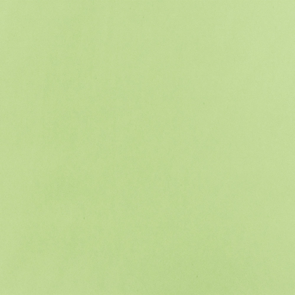 Matcha Latte Green Famous Designer Poly Charmeuse Woven Fabric