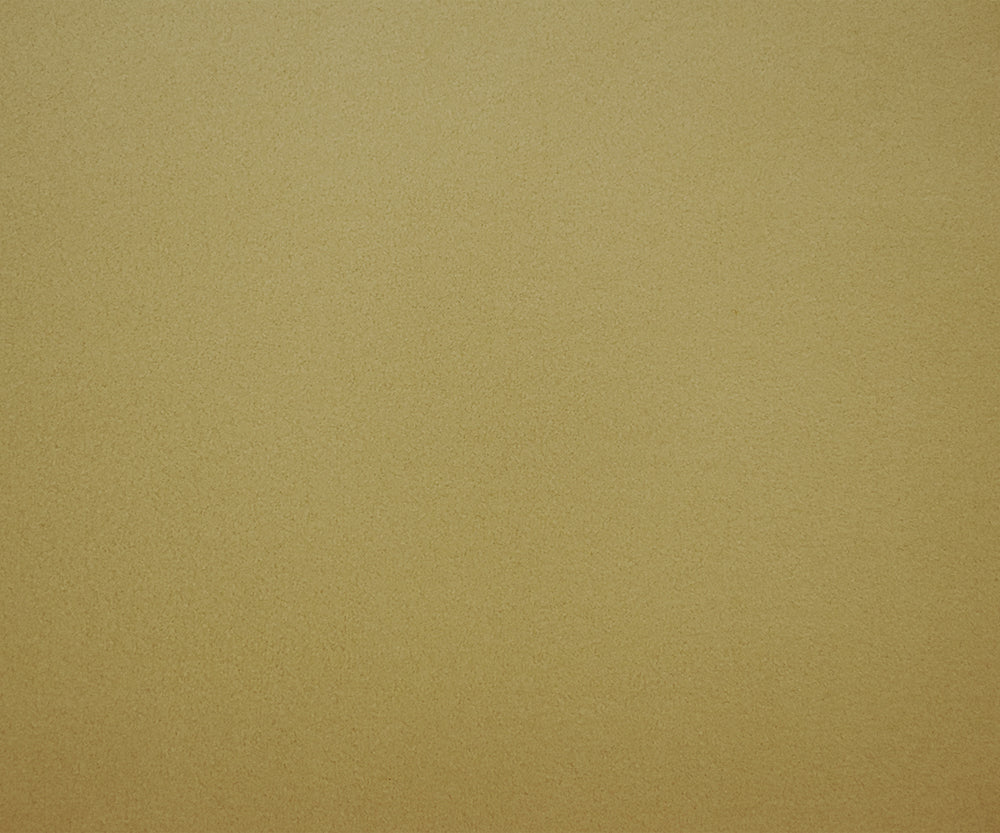 Beige Polyester Heavy Weight Polartec Wind Pro Knit Fabric