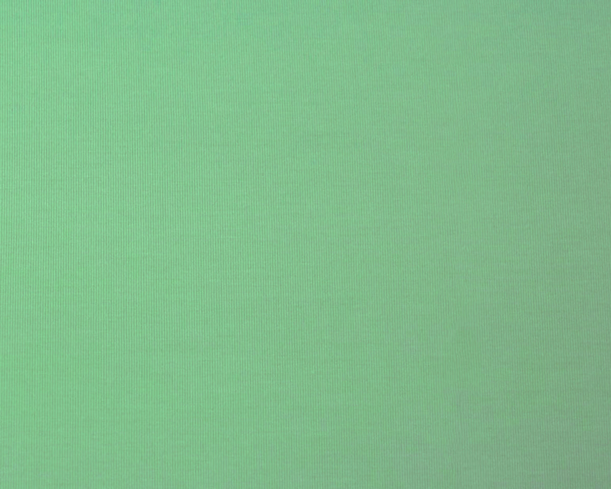 Pastel Green Bamboo Stretch Spandex Solid Jersey Knit Fabric