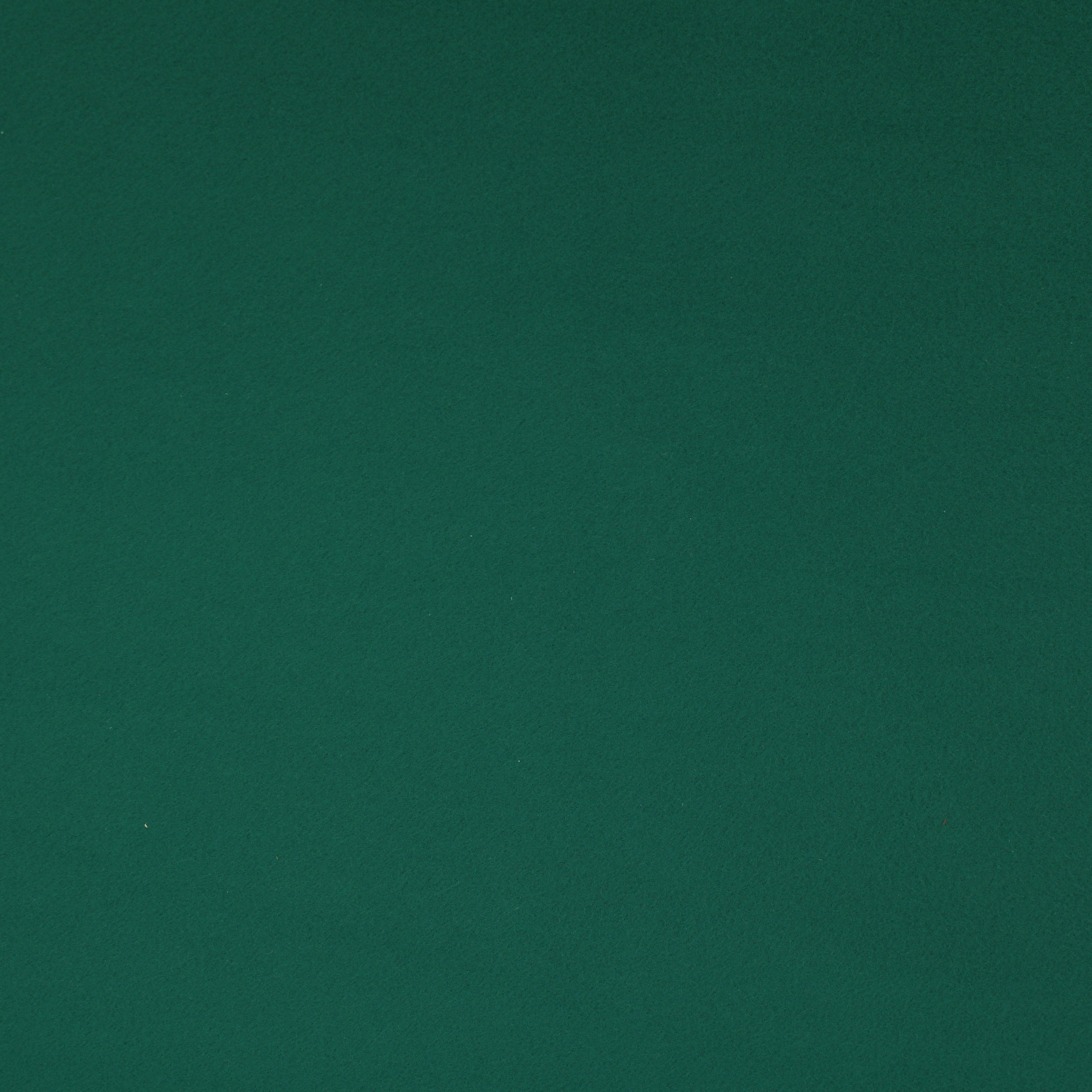 The Fabric Company solid fleece green 60 inch polyester