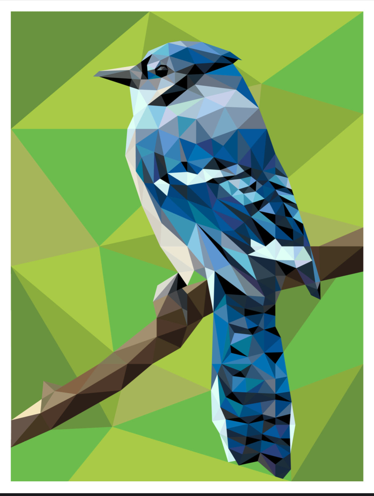 BJ the Blue Jay Pattern