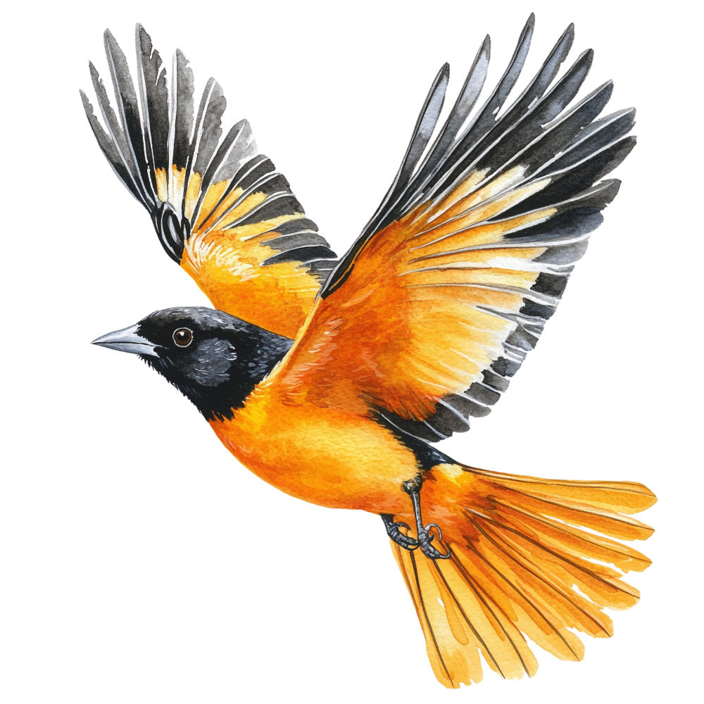 Baltimore Oriole Fabric Panel 13