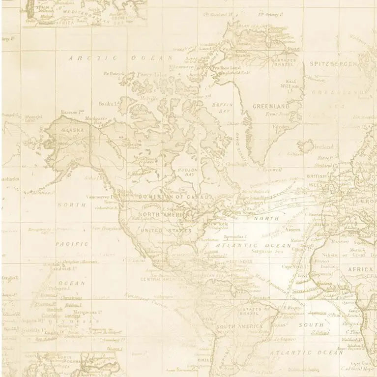 Beige Sea Navigation Cotton Wideback Fabric per yard - Linda's Electric Quilters