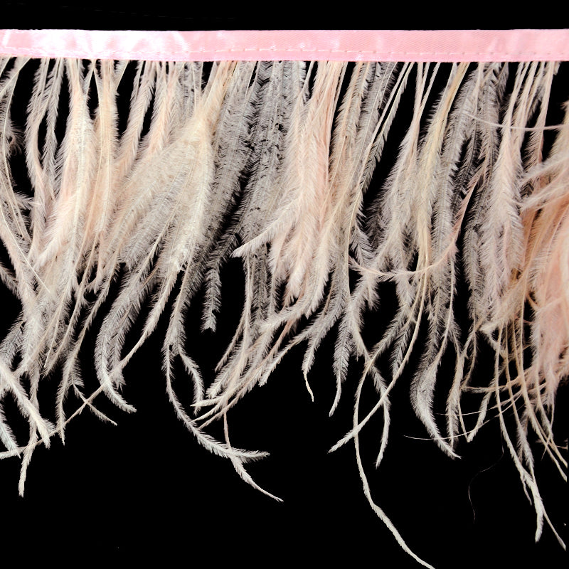 Belagio Enterprises - 6-inch Ostrich Feather Trim (11 Yard Bolt) - B-1139-20 Pink