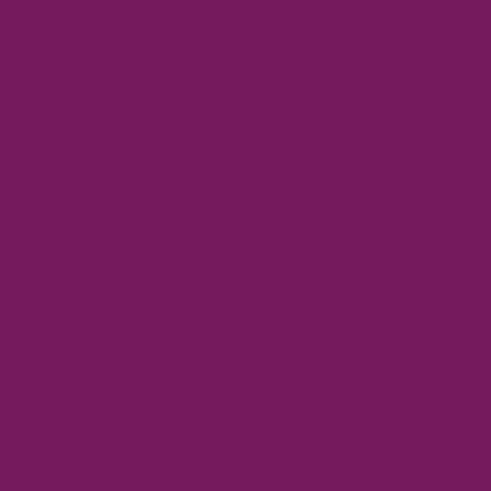 Riley Blake Confetti Cottons quilting cotton in Boysenberry