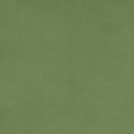 Shannon Fabrics solid cuddle basil minky