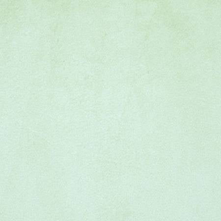 Shannon C3 Cuddle Solid minky fabric in Sage