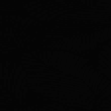 Shannon Fabrics Cuddle Tropic Burnout extra wide minky fabric in Black, 90 inches
