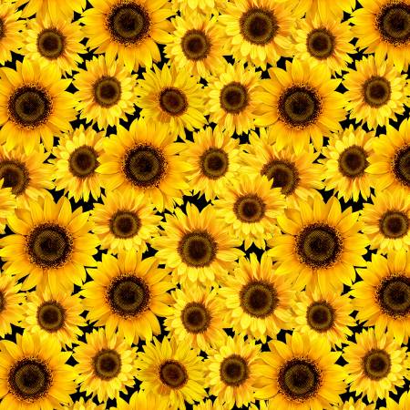 Timeless Treasures Packed Metallic Sunflowers quilting fabric in Yellow