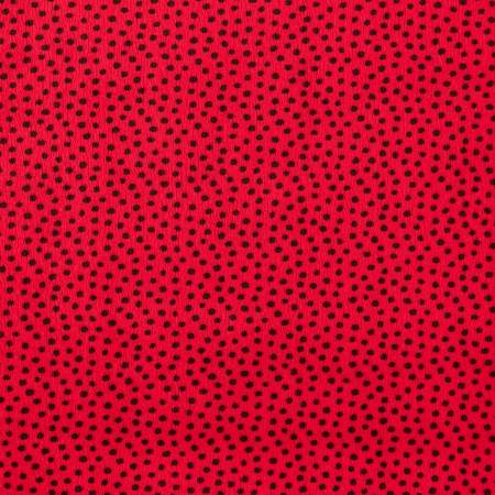 Shannon Fabrics Dottie cuddle minky fabric in Cardinal 90 inch extra wide