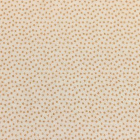 Shannon Fabrics Dottie cuddle minky fabric in Sand 90 inch extra wide