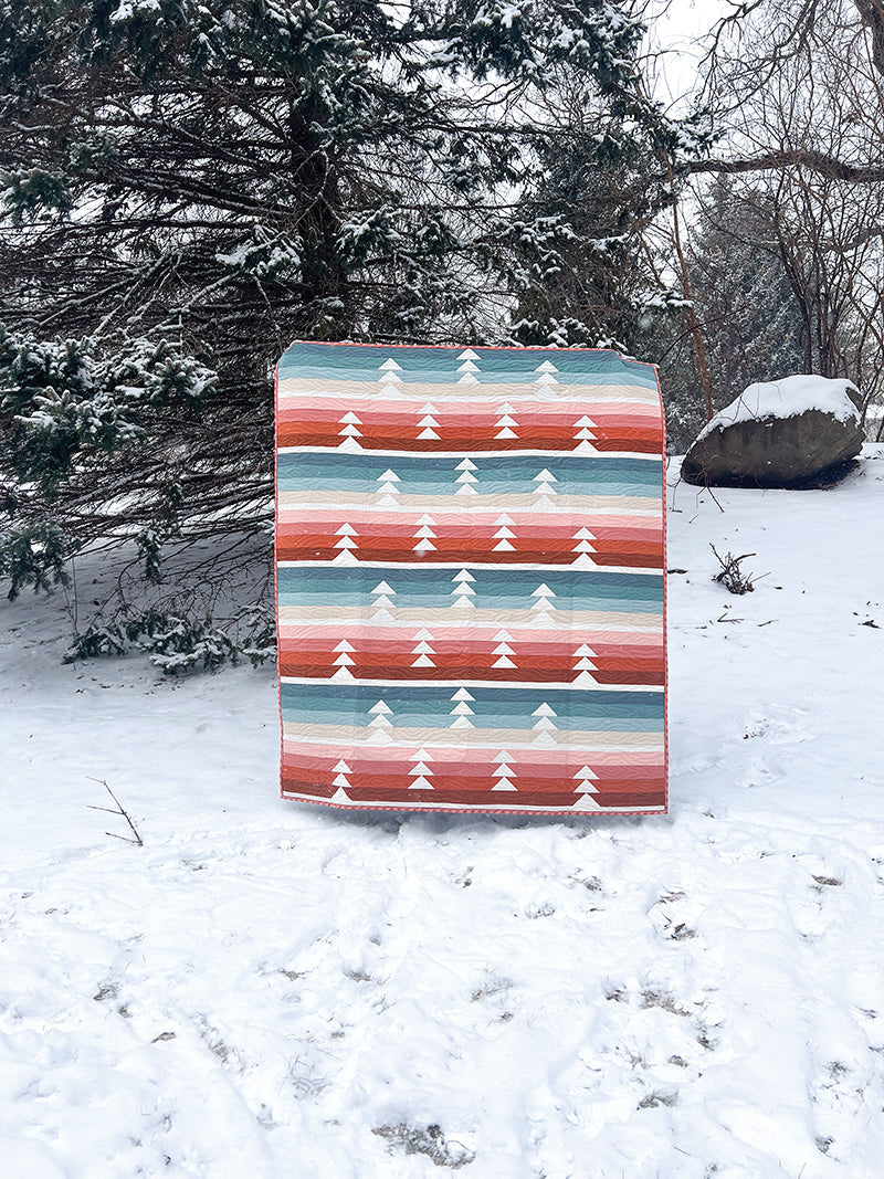 Cozy Quilts for the Modern Home