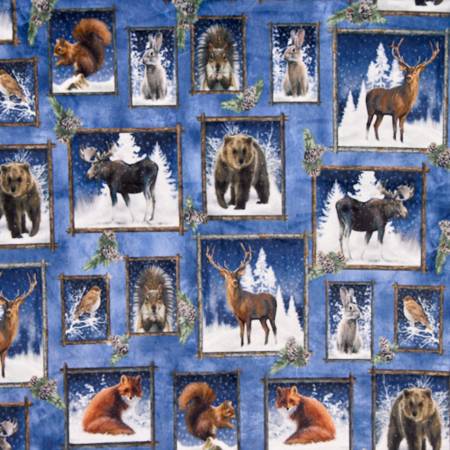 Shannon Frosty Frames Digital Cuddle minky fabric in Multi