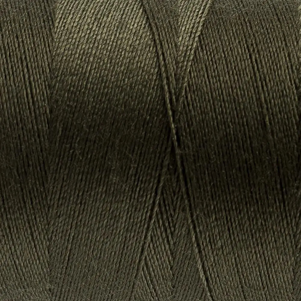 DS113 - Designer™ All purpose 40wt Polyester Turtle Green Thread WonderFil USA