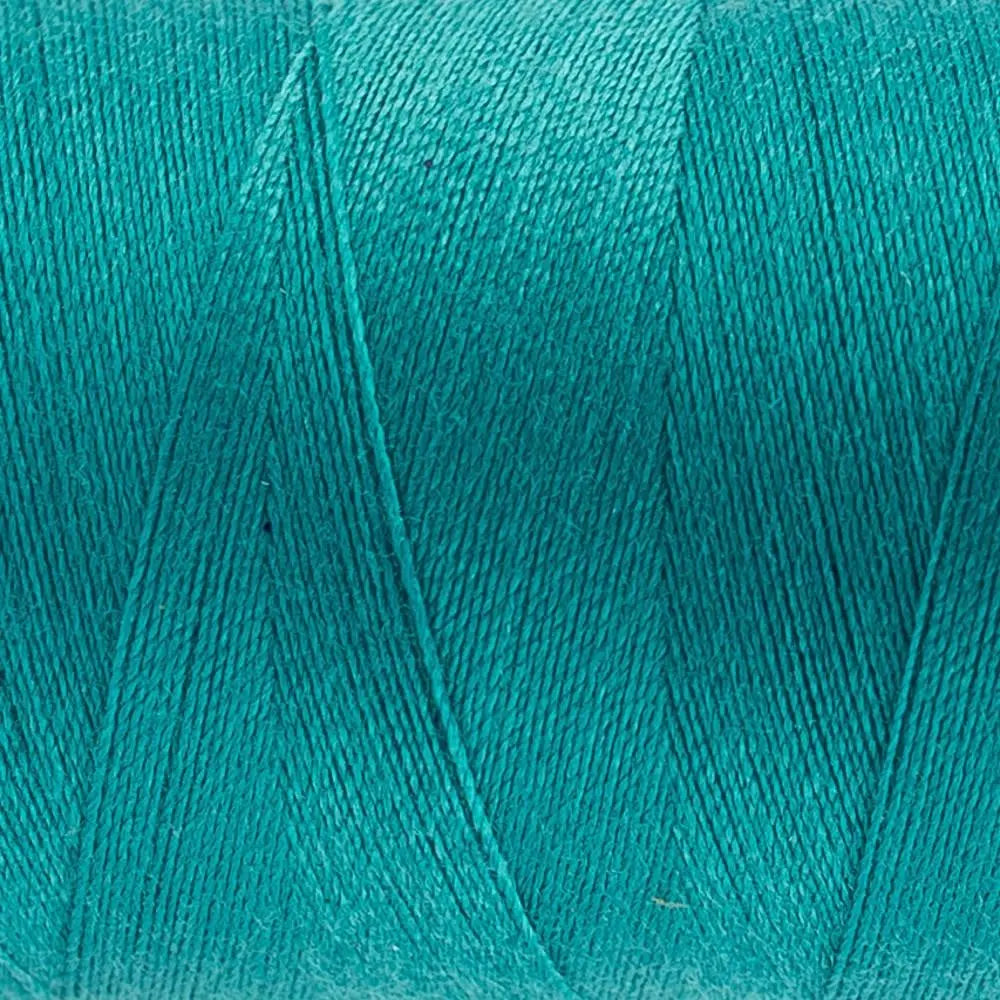 DS168 - Designer™ All purpose 40wt Polyester Light Sea Green Thread WonderFil USA