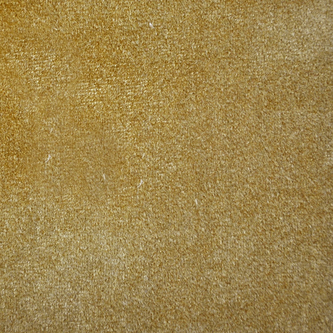 "Darling" Velvet Fabric