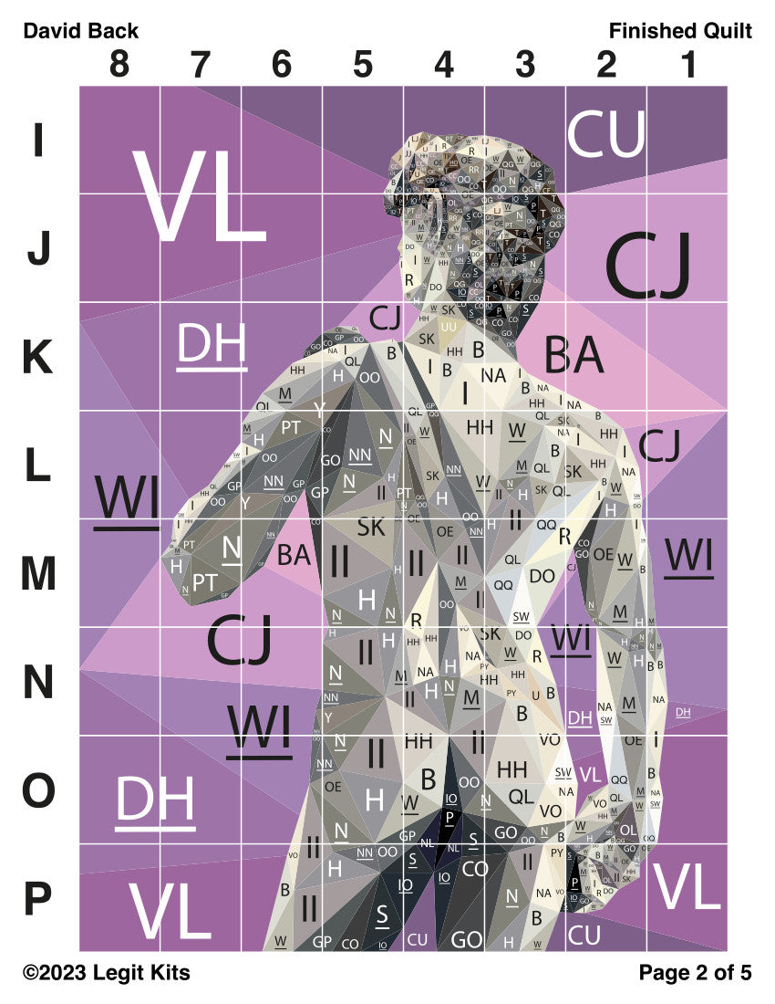 David Back Quilt Kit