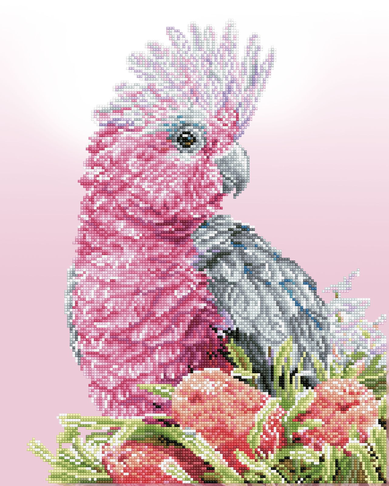 Diamond Dotz Pink Galah & Banksias - 16.1" x 20.1"