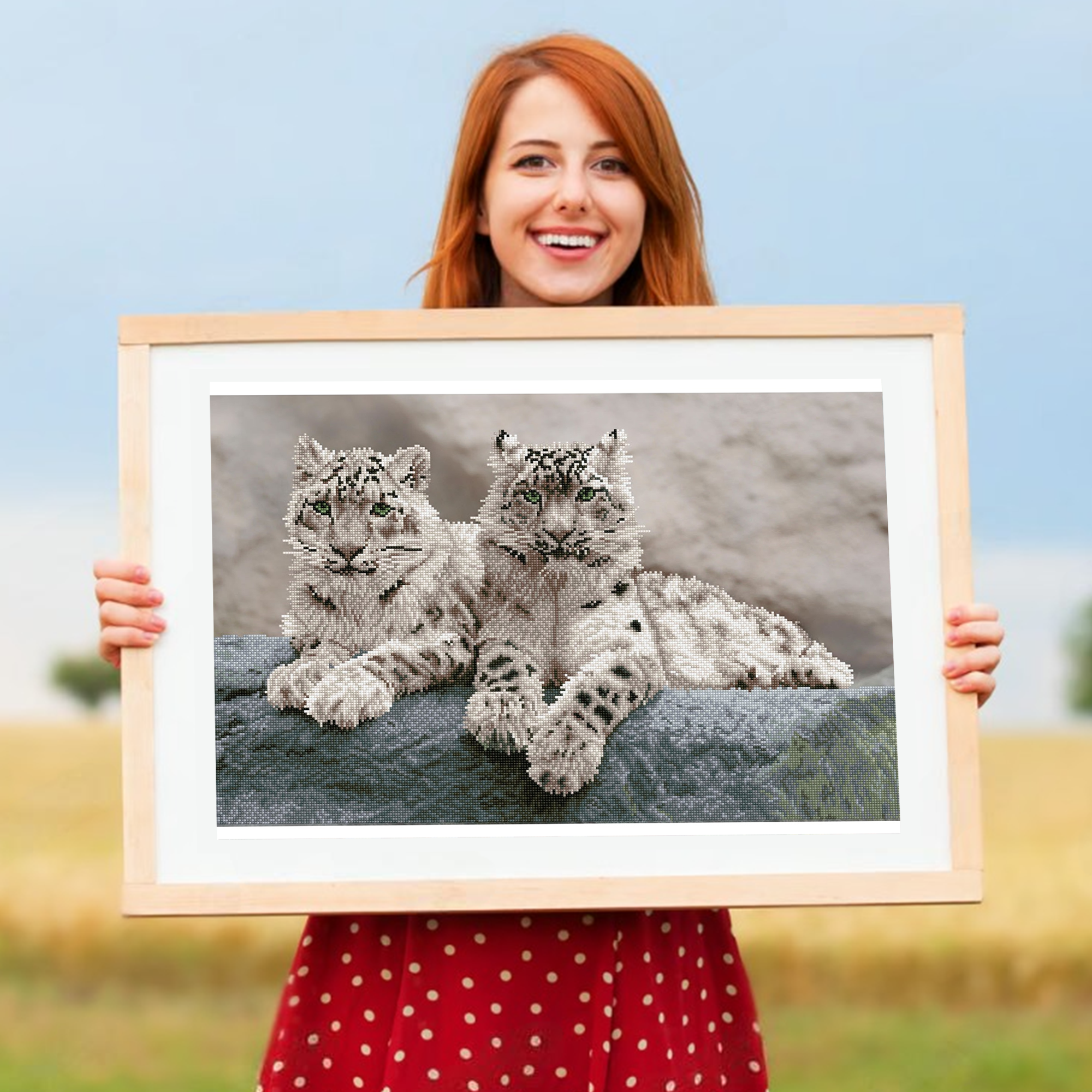 Diamond Dotz Snow Leopards Hemis National Park - 29.5" x 19.7"