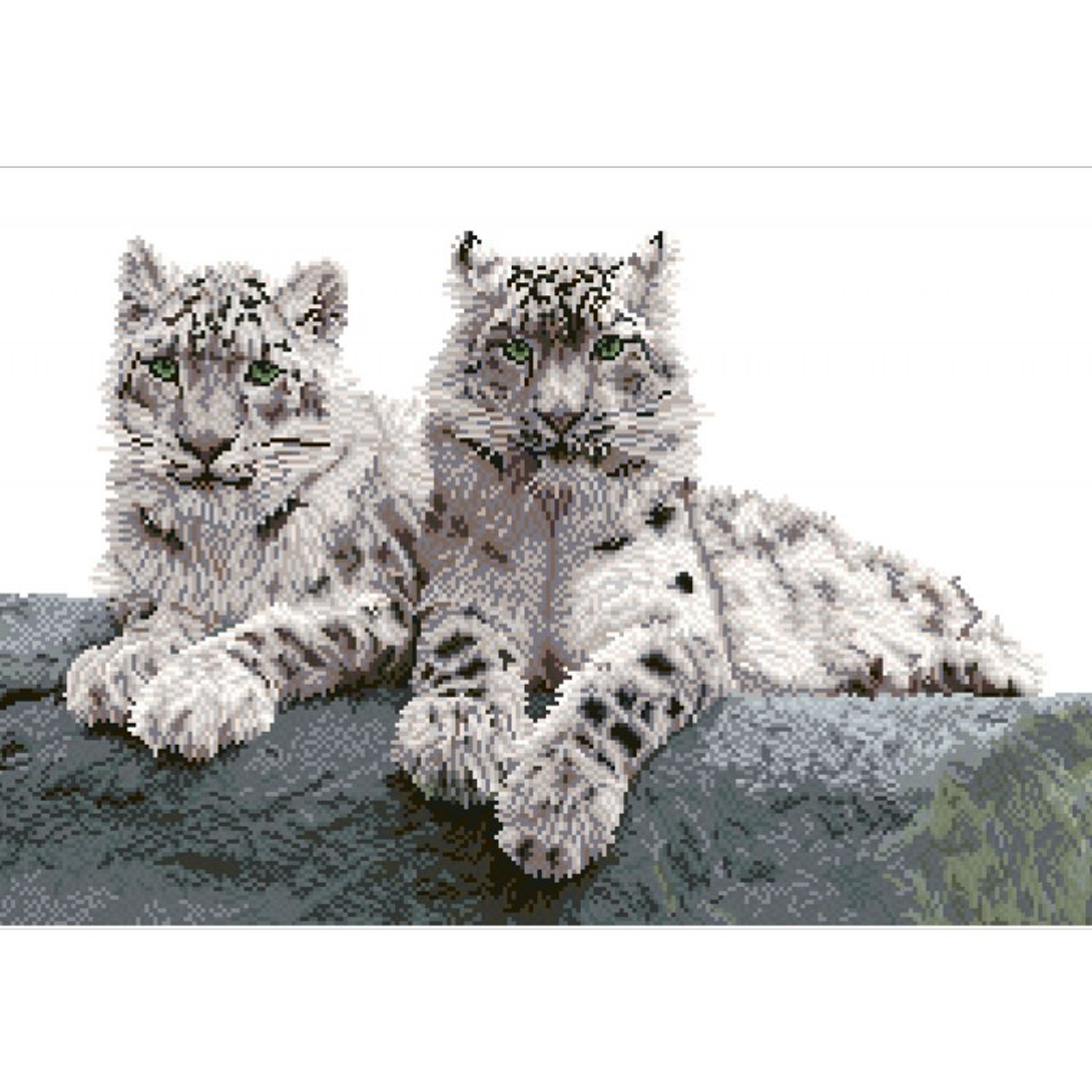 Diamond Dotz Snow Leopards Hemis National Park - 29.5" x 19.7"