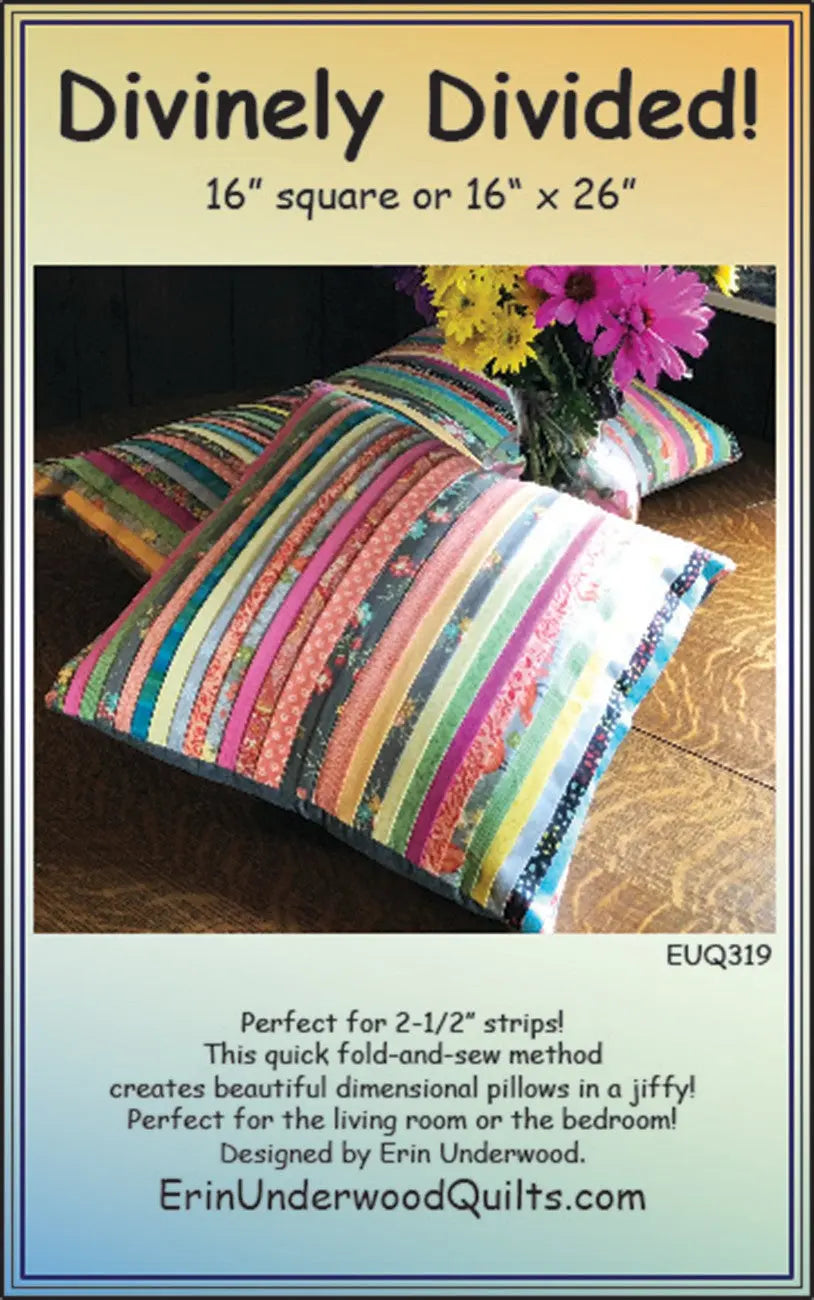 Divinely Divided Pillow - Linda's Electric Quilters