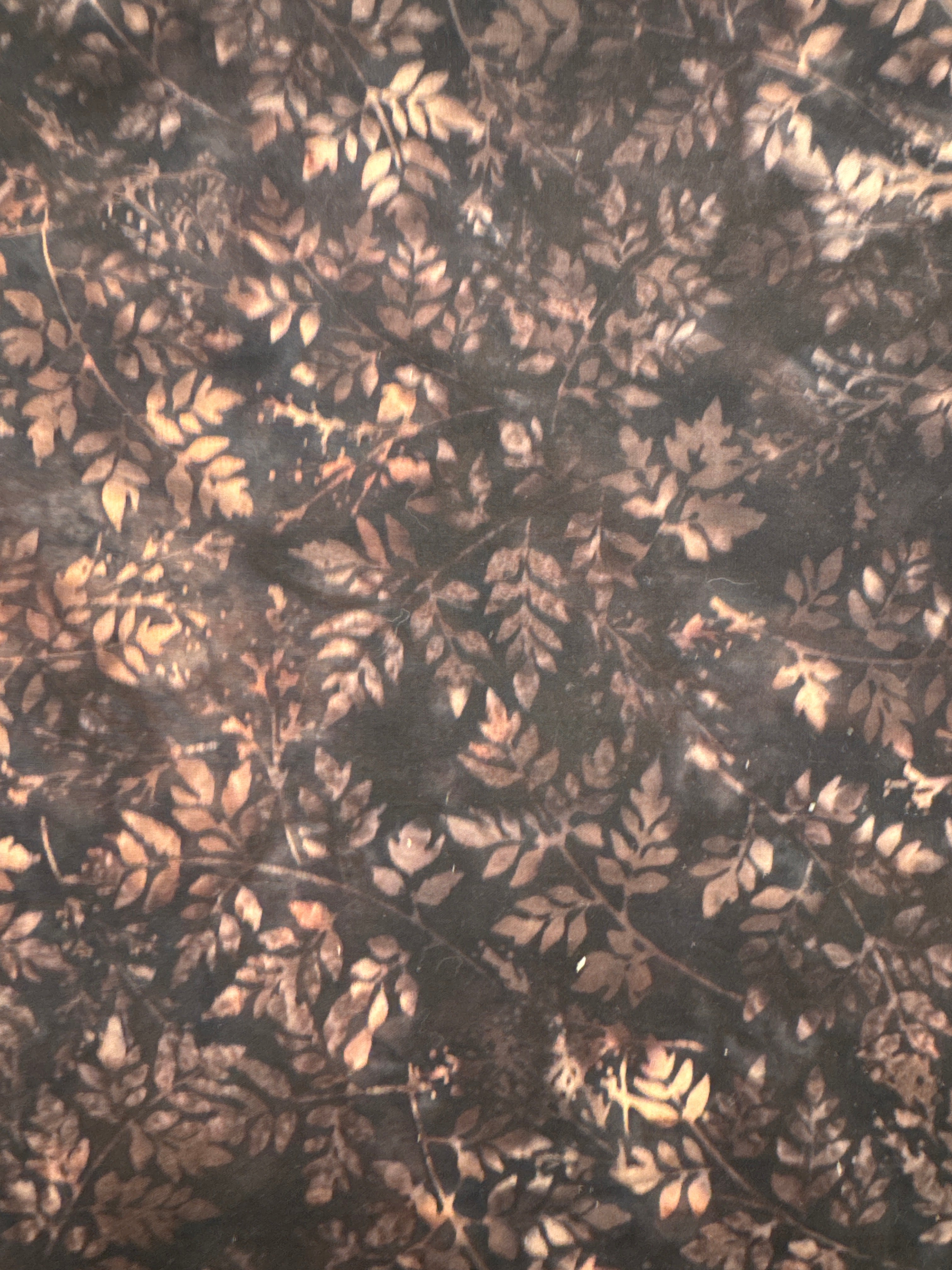 Branches Cappuccino brown blender quilting fabric by Hoffman Fabrics