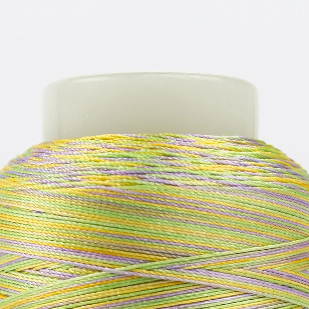 FB24 - FabuLux™ 40wt Trilobal Polyester Springtime Thread WonderFil USA