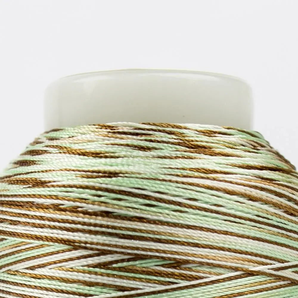 FB37 - FabuLux™ 40wt Trilobal Polyester Mint Chocolate Chip Thread WonderFil USA