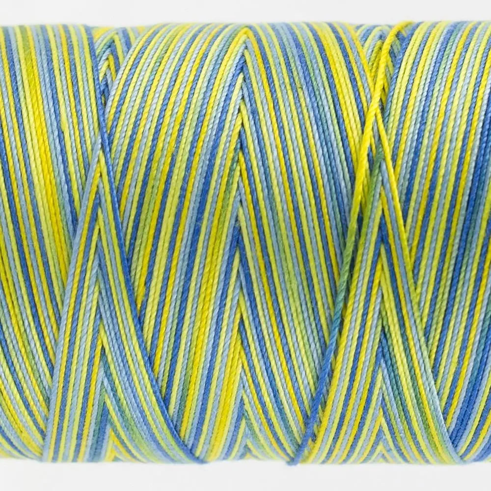 FT02 - Fruitti™ 12wt Egyptian Cotton Bright Day Thread WonderFil USA