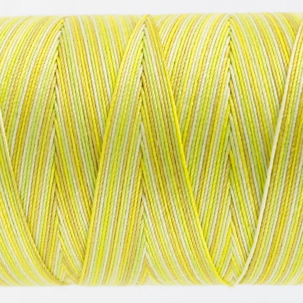 FT03 - Fruitti™ 12wt Egyptian Cotton Citrus Thread WonderFil USA