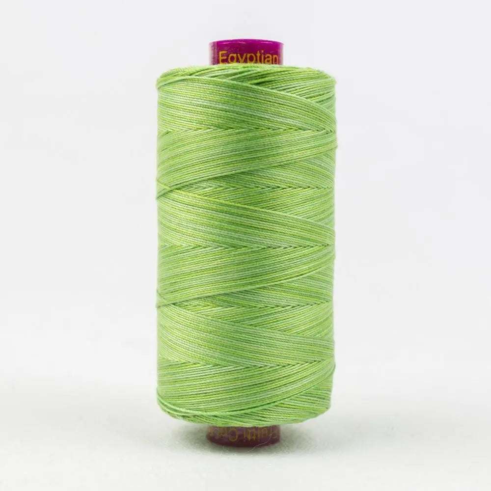 FT29 - Fruitti™ 12wt Egyptian Cotton Grass Thread WonderFil USA