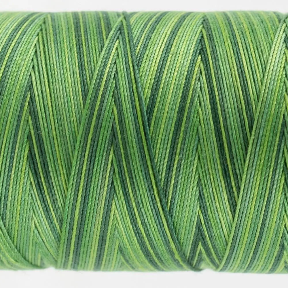 FT31 - Fruitti™ 12wt Egyptian Cotton Evergreen Thread WonderFil USA