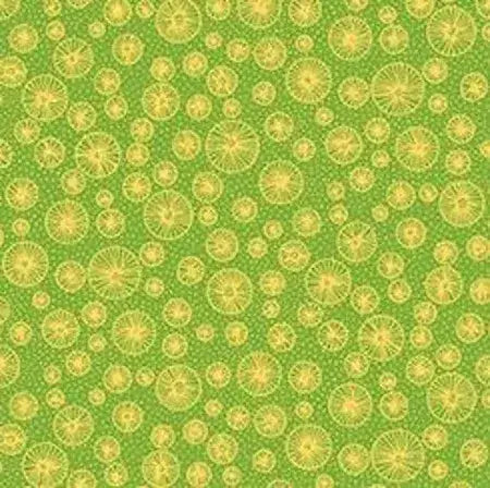 Flowerful - Linear Circles - Green 44" / 45" Fabric Per Yard The Fabric Company