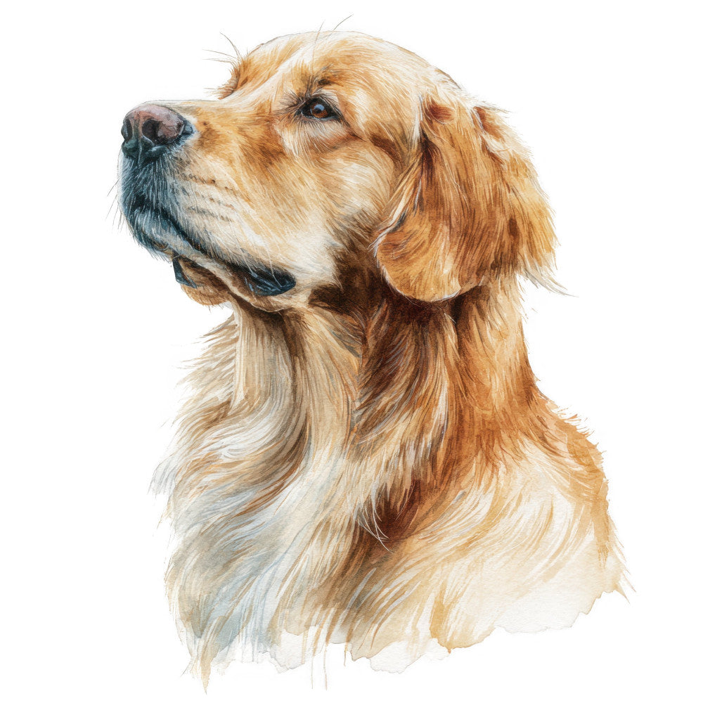 Golden Retriever Fabric Panel 11