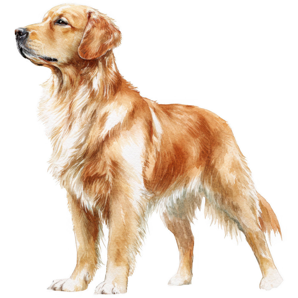 Golden Retriever Fabric Panel 9